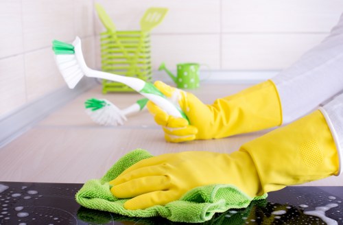 Common household stains needing cleaning in Sipson