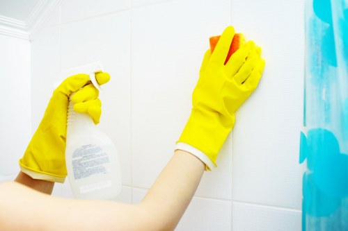 Fabric and carpet stain removal in Sipson