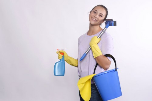 Carpet and sofa odour neutralisation service in Sipson