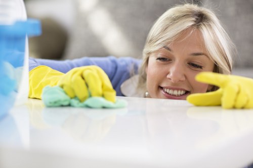 Fresh mattress inspection and stain treatment in Sipson