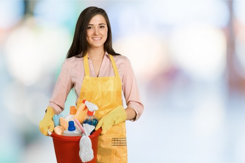 Screen-reader friendly online cleaning service page