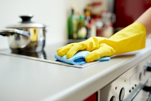 Transparent carpet cleaning estimate for a busy household
