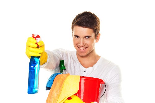 Professional carpet care removing stains from carpet fibres
